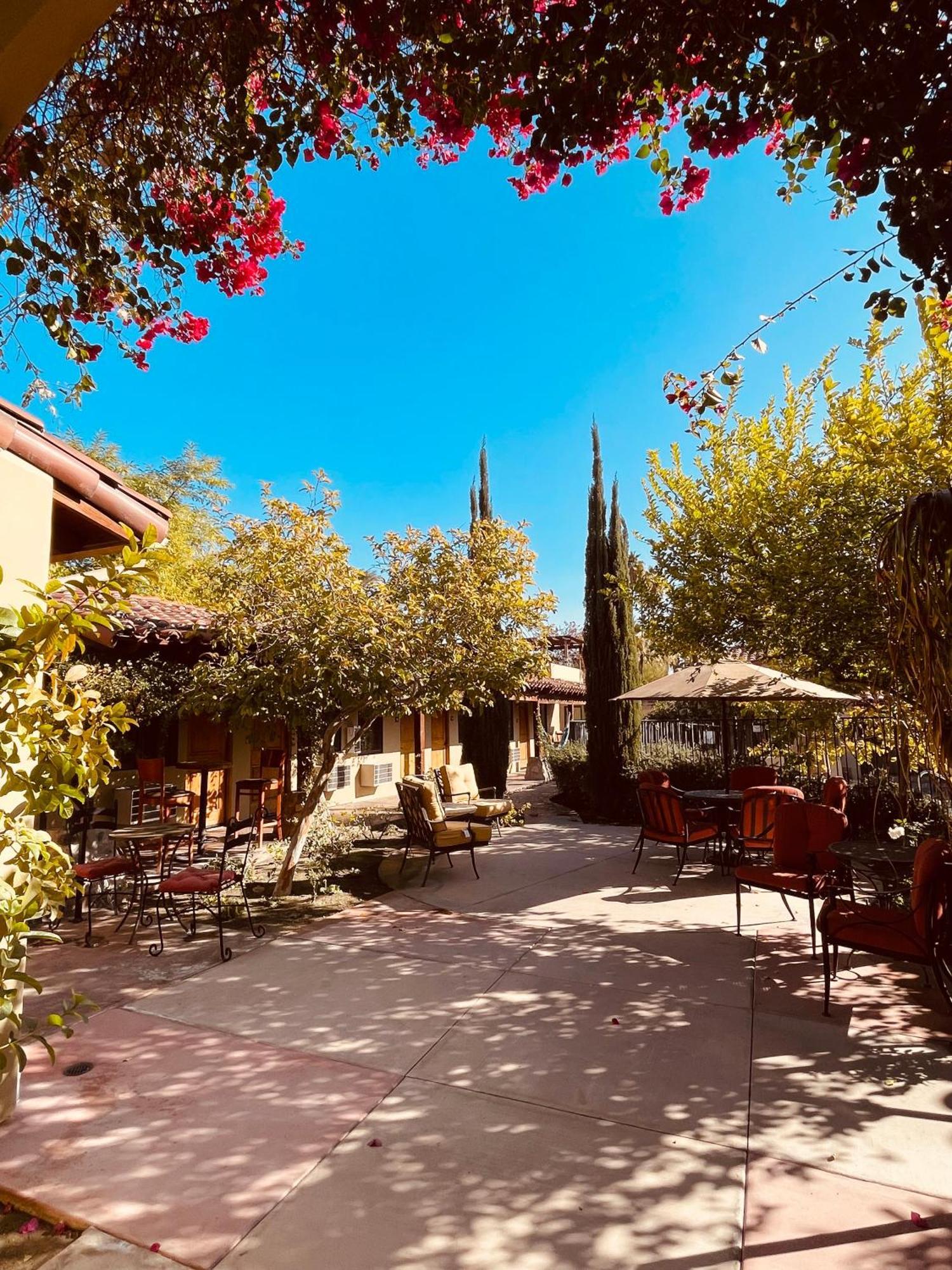 Los Arboles Hotel Palm Springs Dış mekan fotoğraf